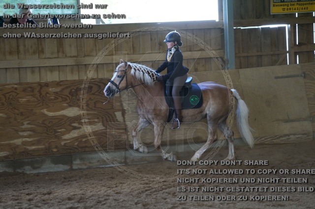 s_K3F03491.JPG